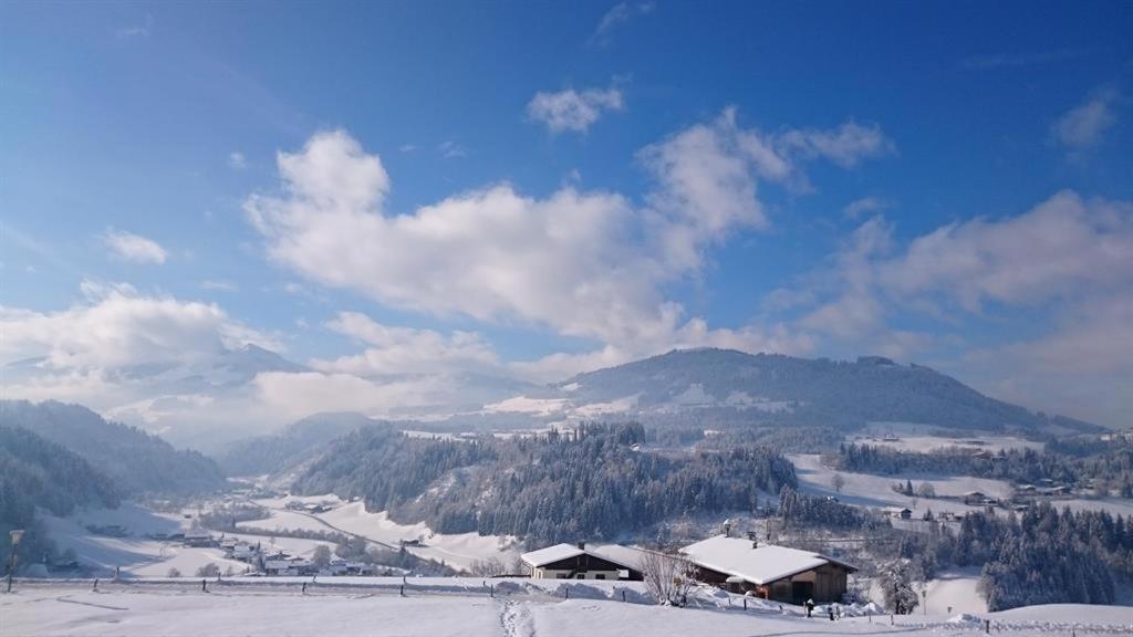 Apartment-Chalet Moedlinghof Hopfgarten im Brixental Eksteriør bilde