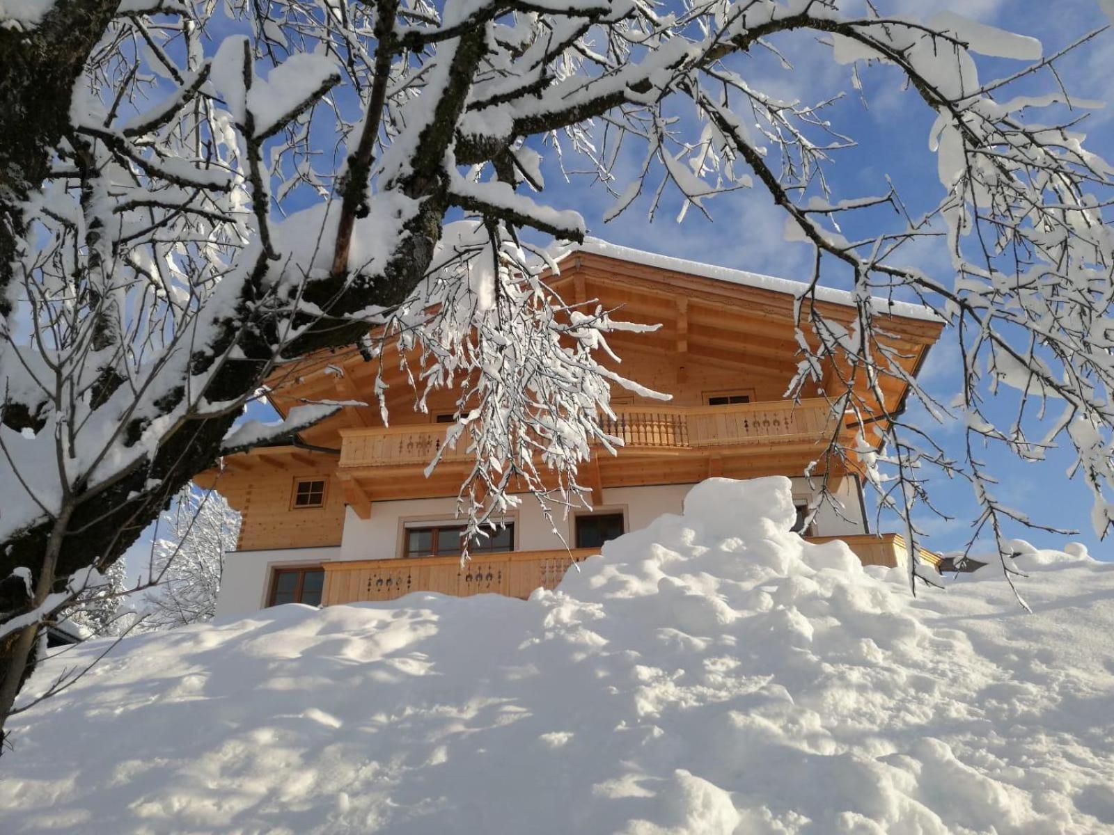 Apartment-Chalet Moedlinghof Hopfgarten im Brixental Eksteriør bilde